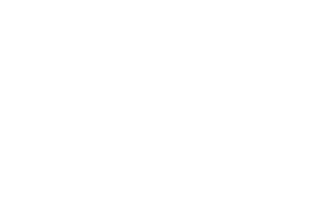 asuntodigilogo-2